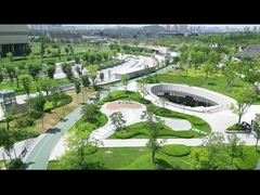 Sistema anti-UAV Wukong